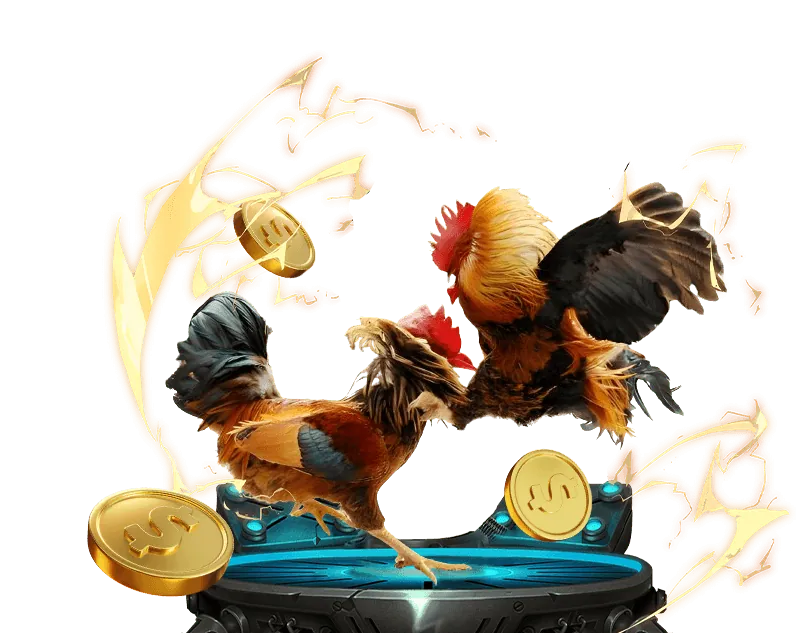 Giấy phép và chứng nhận pháp lý của zb368 nổ hũ